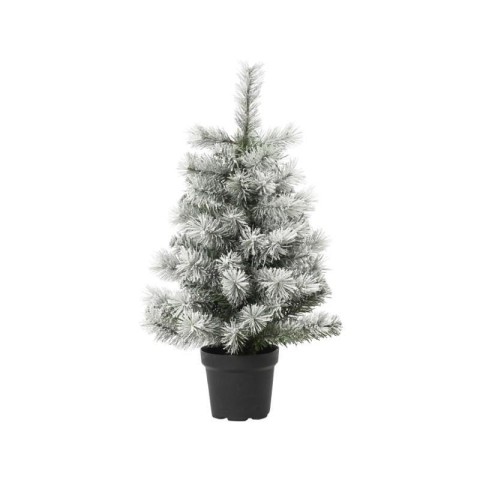 ALBERO CANADA H90 D47 INNEVATO